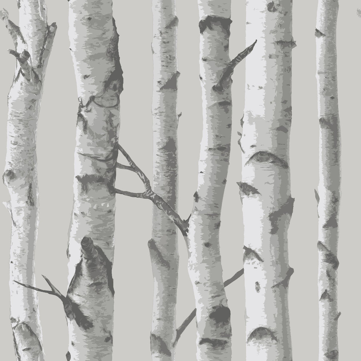 Mountain Birch Grey Peel & Stick Wallpaper with Lodge Nature Motif - NUW1694