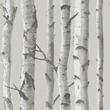 Mountain Birch Grey Peel & Stick Wallpaper with Lodge Nature Motif - NUW1694