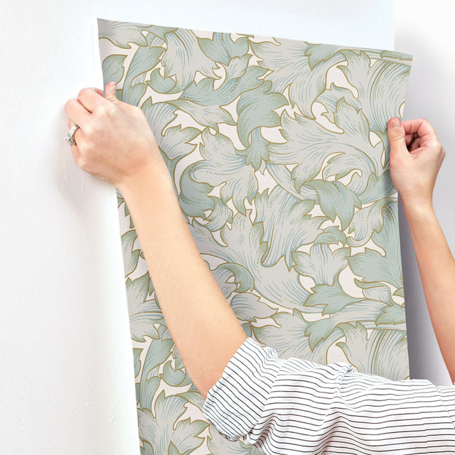 Acanthus Toss Beige & Seafoam Wallpaper with Botanical Acanthus Leaf Motif - York NV5511