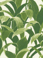 Green and white banana leaf botanical peel and stick wallpaper pattern