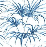 Tropical Palm Leaf peel and stick wallpaper in Coastal Blue by NextWall