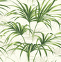 Green palm leaf botanical peel and stick wallpaper on an off-white background