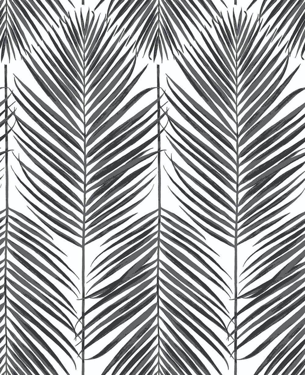 Paradise Palm peel and stick wallpaper in ebony featuring black palm fronds on a light background