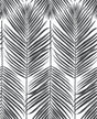 Paradise Palm peel and stick wallpaper in ebony featuring black palm fronds on a light background