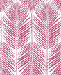 Paradise Palm peel and stick wallpaper in cerise pink palm frond pattern by NextWall (NW33001)