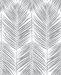 Paradise Palm Daydream Gray peel and stick wallpaper with repeating palm fronds