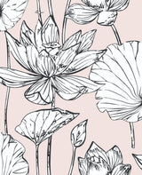 Lotus Floral peel and stick wallpaper in Blush & Ebony with line-drawn lotus blooms