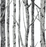 Monochrome birch trees peel and stick wallpaper pattern in grey and white