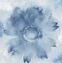 Watercolor Sunflower peel and stick wallpaper in navy blue floral design