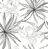 Spider Plants grayscale peel and stick wallpaper with hand-drawn botanical leaves