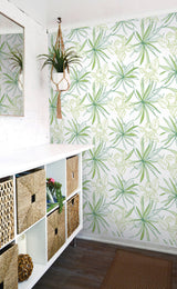 Spider Plants Green by NextWall Peel & Stick Botanical Peel & Stick Wallpaper – NextWall NW36304