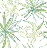 Spider Plants peel and stick wallpaper pattern in green on white background by NextWall (NW36304).