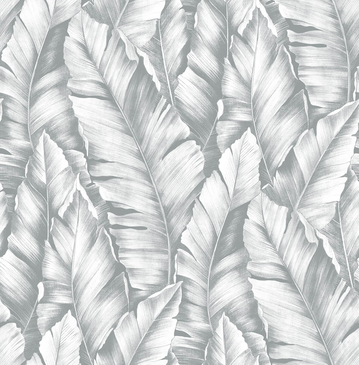 Gray tropical banana leaf peel and stick wallpaper pattern