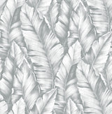 Gray tropical banana leaf peel and stick wallpaper pattern