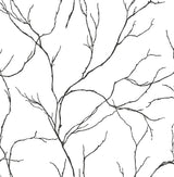 Delicate Branches wallpaper in Ebony featuring thin black branch silhouettes on a white background.