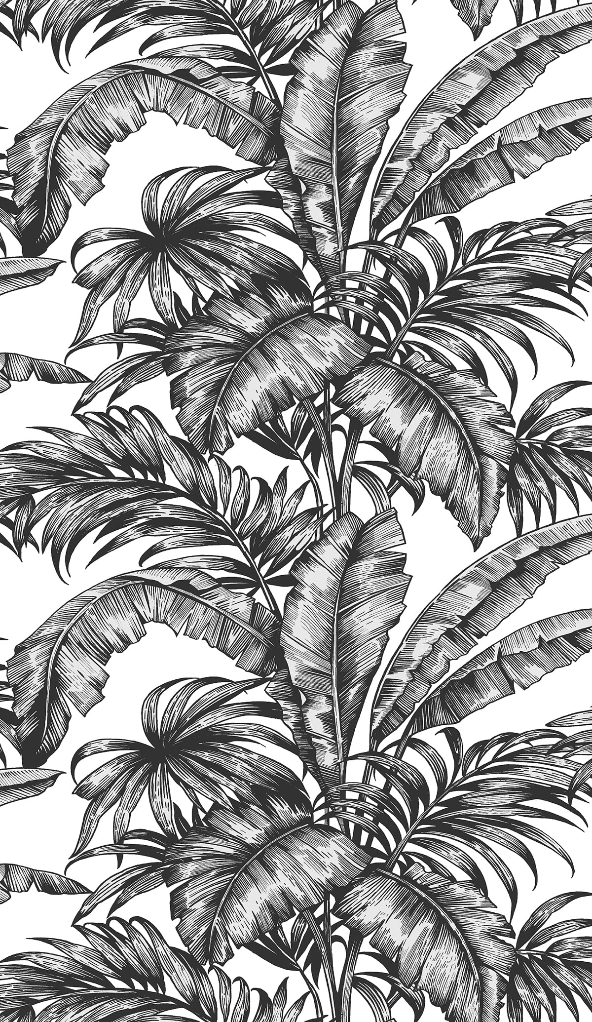 Palm Jungle peel and stick wallpaper in ebony and pearl with illustrated tropical palm leaves