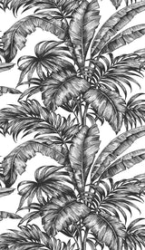 Palm Jungle peel and stick wallpaper in ebony and pearl with illustrated tropical palm leaves