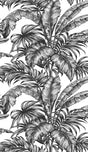 Palm Jungle peel and stick wallpaper in ebony and pearl with illustrated tropical palm leaves