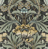 Acanthus Floral Charcoal & Goldenrod by NextWall Peel & Stick Floral Peel & Stick Wallpaper – NextWall NW41510 -Sample