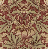 Acanthus Floral Red Clay & Lichen by NextWall Peel & Stick Vintage Floral Wallpaper – NextWall NW41511 -Sample