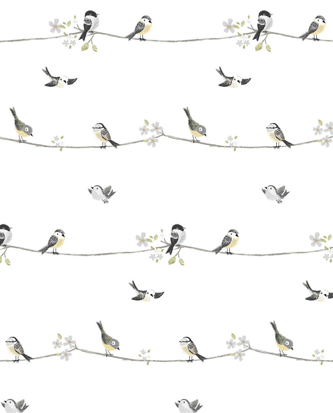 Sweet Tweet peel and stick wallpaper with small birds perched on branches in charcoal, grey, and buttercup on a white background