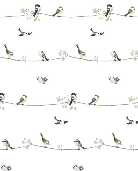 Sweet Tweet peel and stick wallpaper with small birds perched on branches in charcoal, grey, and buttercup on a white background