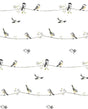 Sweet Tweet peel and stick wallpaper with small birds perched on branches in charcoal, grey, and buttercup on a white background