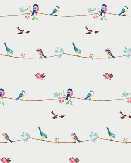 Sweet Tweet peel and stick wallpaper with colorful birds on branches on a white background
