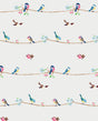 Sweet Tweet peel and stick wallpaper with colorful birds on branches on a white background