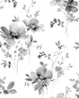 Grey watercolor windflower floral peel and stick wallpaper pattern