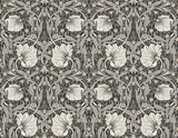 Pimpernel Floral peel and stick wallpaper in charcoal and pearl grey with a vintage floral vine pattern