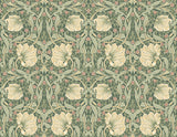 Pimpernel Floral peel and stick wallpaper in Gardenia & Sage green vintage floral pattern by NextWall (NW42406).