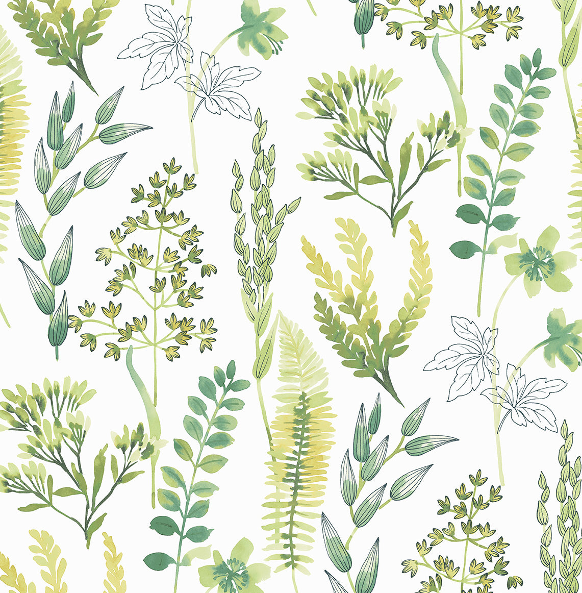 Wild Garden Lemon Lime botanical peel and stick wallpaper with watercolor foliage