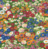 NextWall Floral Meadow peel and stick wallpaper in a multicolor wildflower meadow design