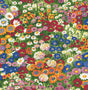 NextWall Floral Meadow peel and stick wallpaper in a multicolor wildflower meadow design