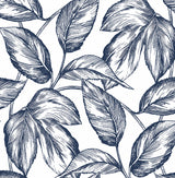 Navy blue sketched leaf botanical peel and stick wallpaper pattern