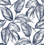 Navy blue sketched leaf botanical peel and stick wallpaper pattern