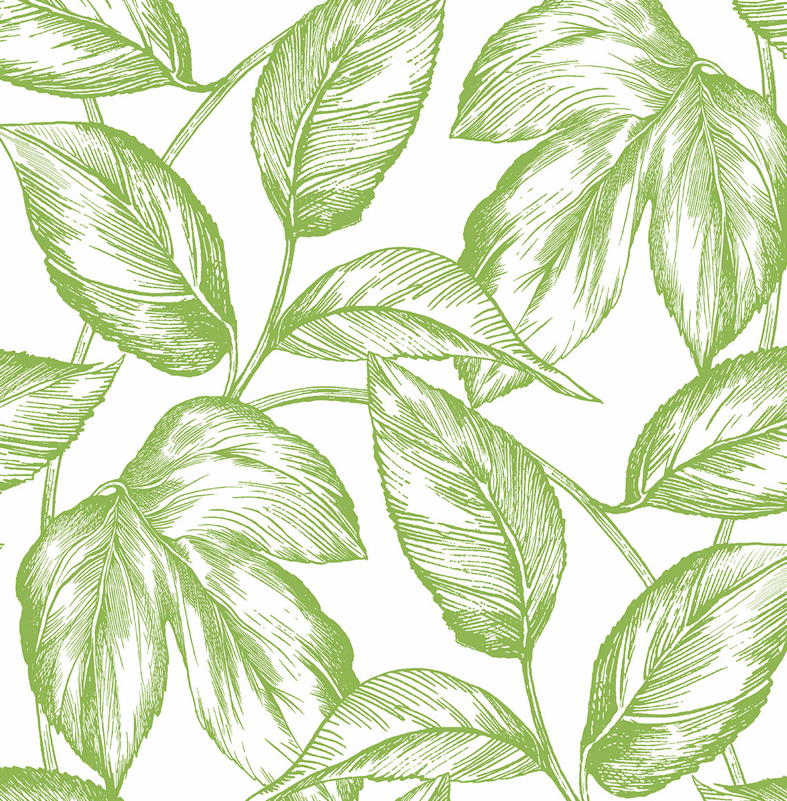 Green sketched leaves peel and stick wallpaper pattern