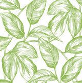 Green sketched leaves peel and stick wallpaper pattern