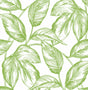 Green sketched leaves peel and stick wallpaper pattern