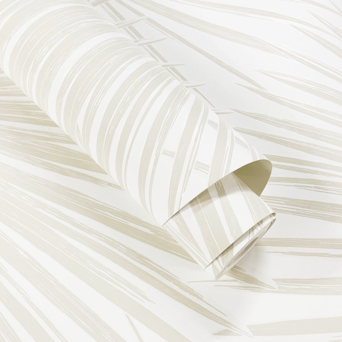 Aruba Palm Sea Salt by NextWall Peel & Stick Tropical Palm Wallpaper – NextWall NW47710