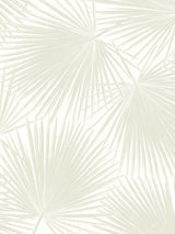 Aruba Palm peel and stick wallpaper in Sea Salt, featuring a soft beige palm frond design on a light background.