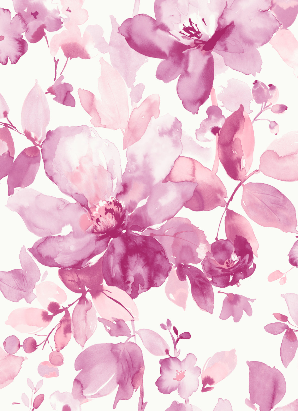 Pink watercolor floral peel and stick wallpaper with large blossoms on a white background