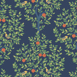 Fruit Tree peel and stick wallpaper with green leafy branches, orange fruit and small birds on a navy background
