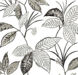 Greystone botanical leaf trail peel and stick wallpaper pattern