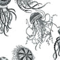 Black and white jellyfish illustration peel and stick wallpaper pattern