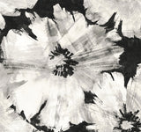 Graphic Floral peel and stick wallpaper in ebony and champagne with oversized painterly flowers