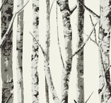 Winter Birch Greystone by NextWall Peel & Stick Satin Vinyl Birch Tree Peel & Stick Wallpaper – NextWall NW49800 -Sample