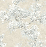 Cherry Blossom Grove peel and stick wallpaper in parchment and morning fog with impressionistic flowering branches