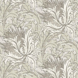 Floral Folly peel and stick wallpaper in Lunar Rock and Pale Oak, vintage floral sketch pattern in grey and beige